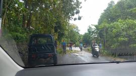 Cuaca Ekstrem Picu Pohon Tumbang di Padukuhan Puleireng